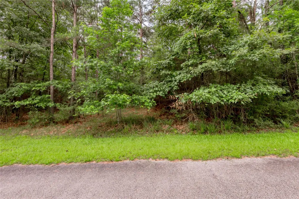 4 Sweetgum Drive Trinity, TX 75862