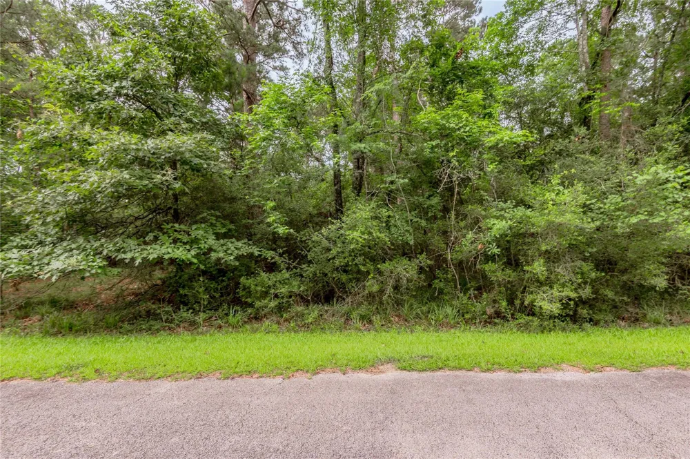 4 Sweetgum Drive Trinity, TX 75862