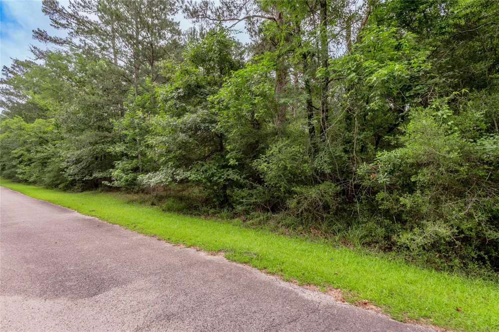 4 Sweetgum Drive Trinity, TX 75862