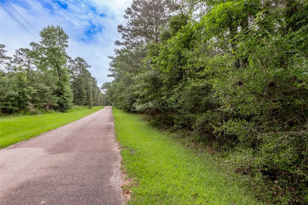 4 Sweetgum Drive Trinity, TX 75862