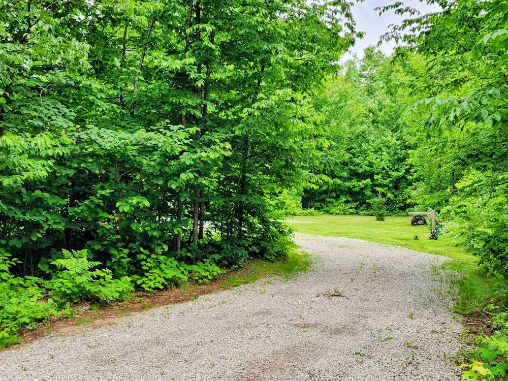 4801 Norway Drive Star Township, MI 49730