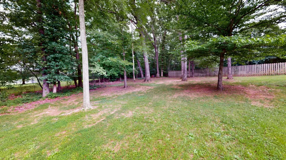 183 Country Wood Dr Paris, TN 38242