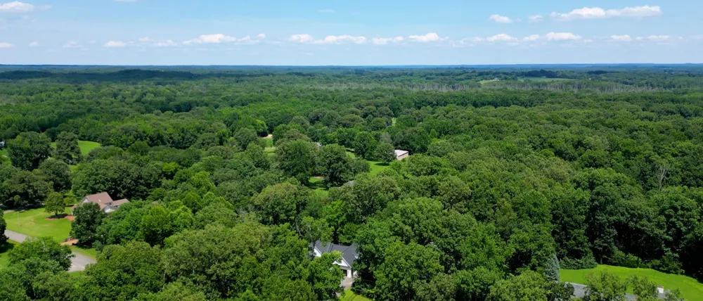 183 Country Wood Dr Paris, TN 38242