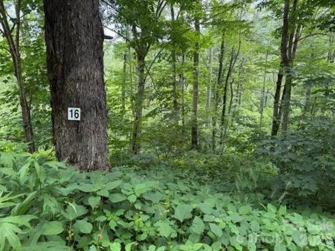 Lot 16 Iga Trail #16