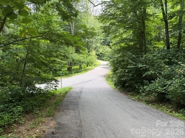 Lot 16 Iga Trail #16 Maggie Valley, NC 28751