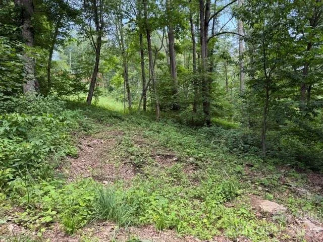 Lot 16 Iga Trail #16 Maggie Valley, NC 28751