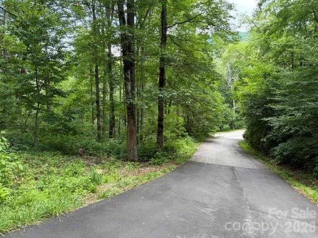 Lot 16 Iga Trail #16 Maggie Valley, NC 28751