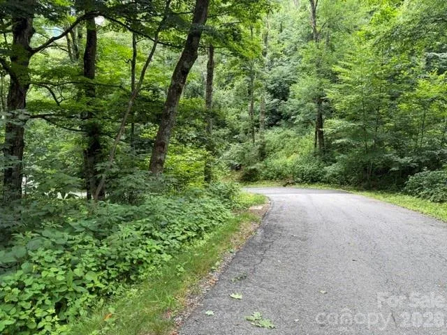 Lot 16 Iga Trail #16 Maggie Valley, NC 28751