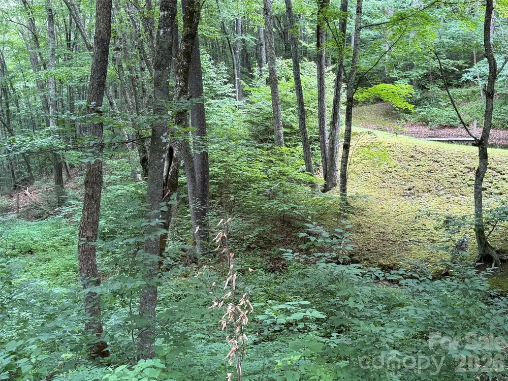 Lot 16 Iga Trail #16 Maggie Valley, NC 28751