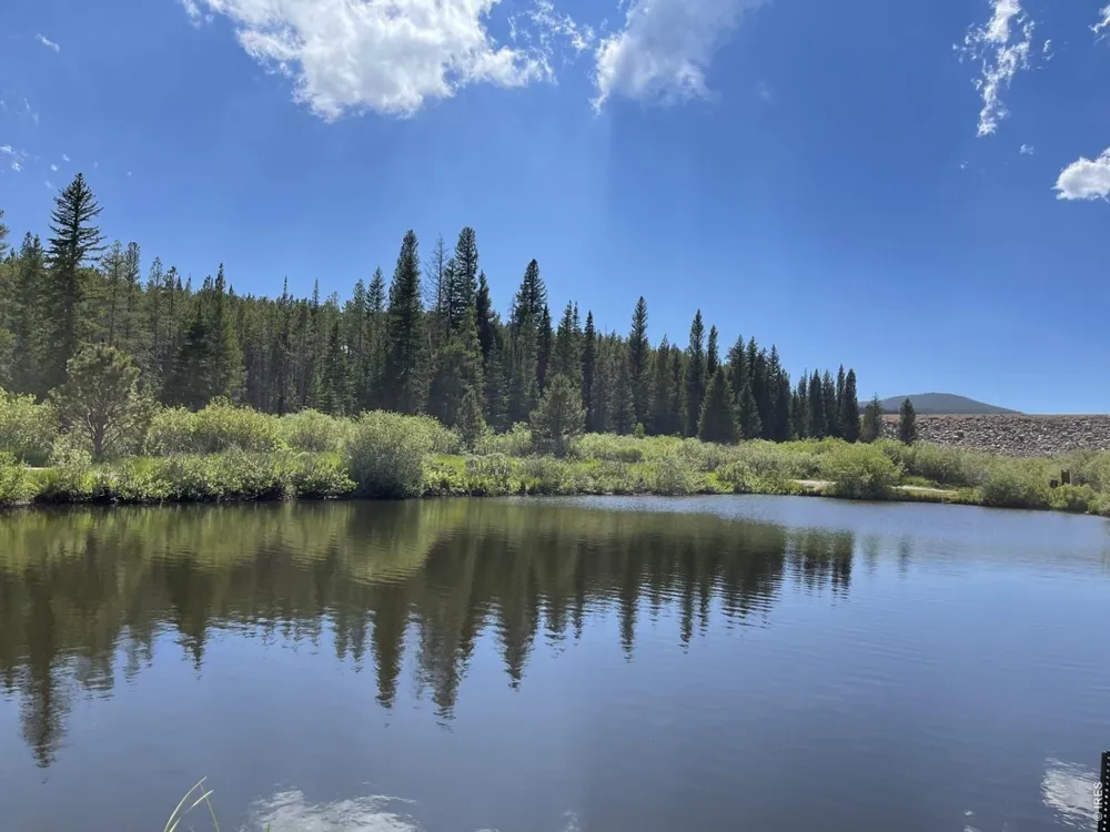 22 Tami Road Red Feather Lakes, CO 80545