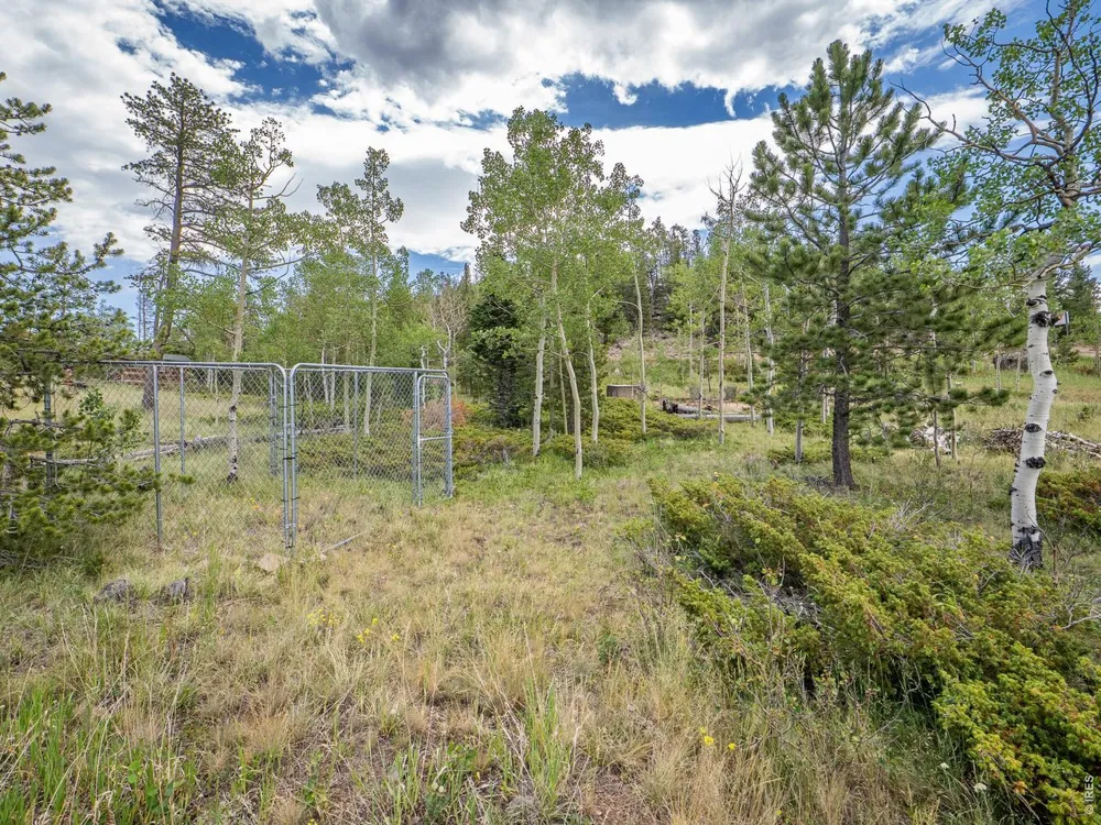 22 Tami Road Red Feather Lakes, CO 80545