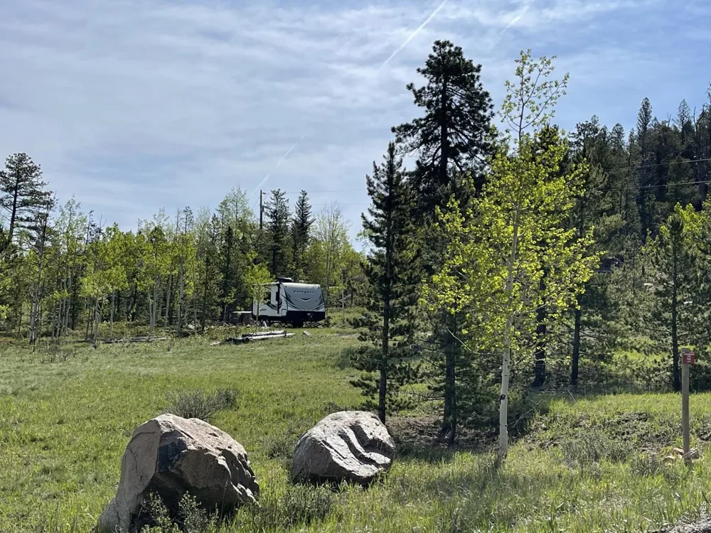 22 Tami Road Red Feather Lakes, CO 80545