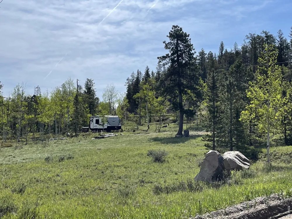 22 Tami Road Red Feather Lakes, CO 80545