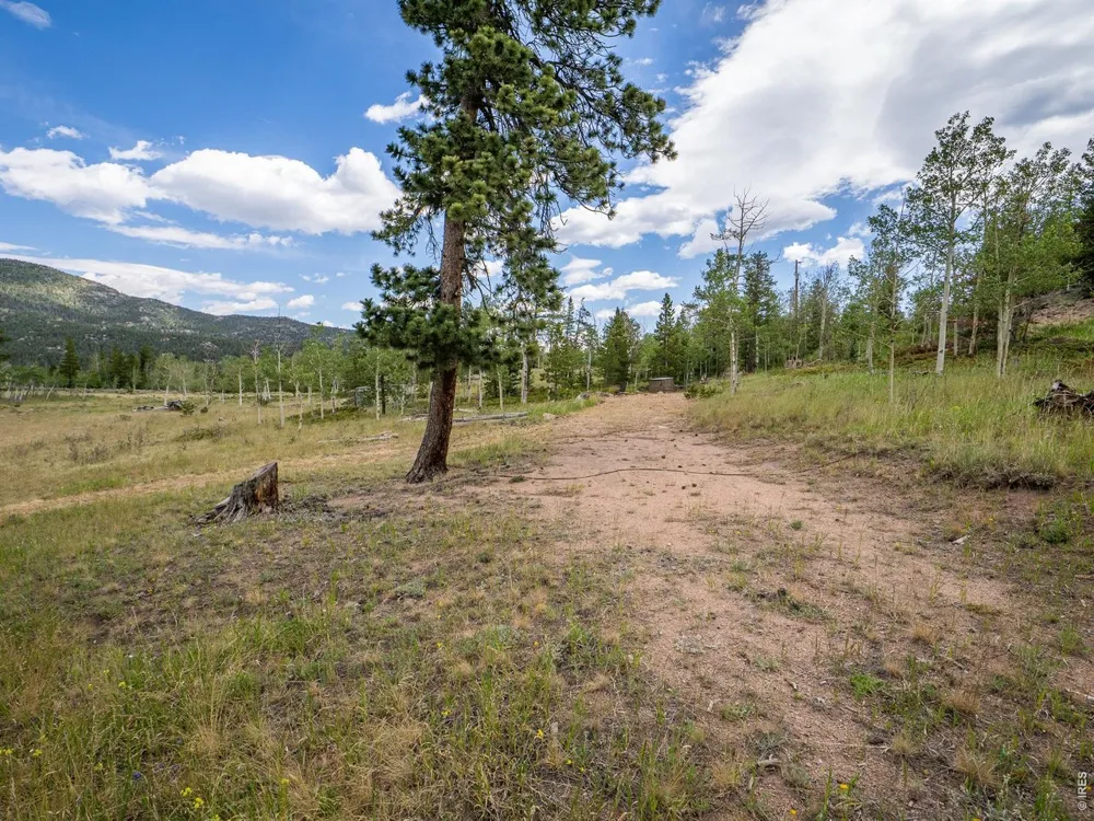 22 Tami Road Red Feather Lakes, CO 80545
