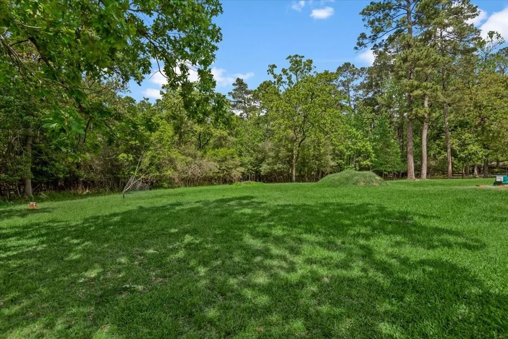 16701 Surrey Lane Stagecoach, TX 77355