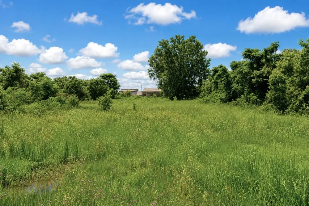 7309 Fulshear Katy Road Fulshear, TX 77441