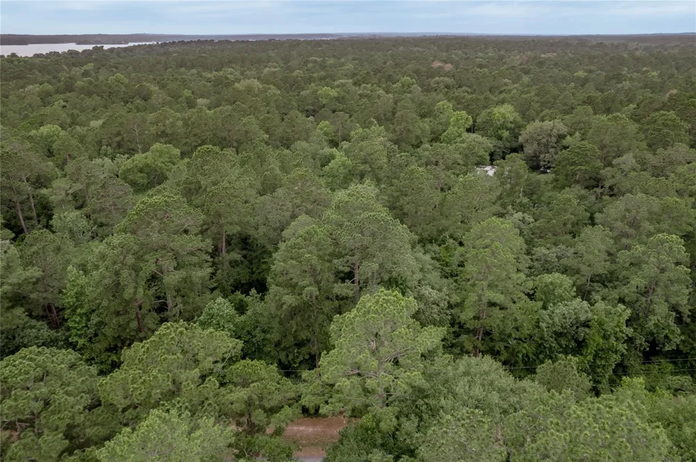 7 Oak Drive Trinity, TX 75862