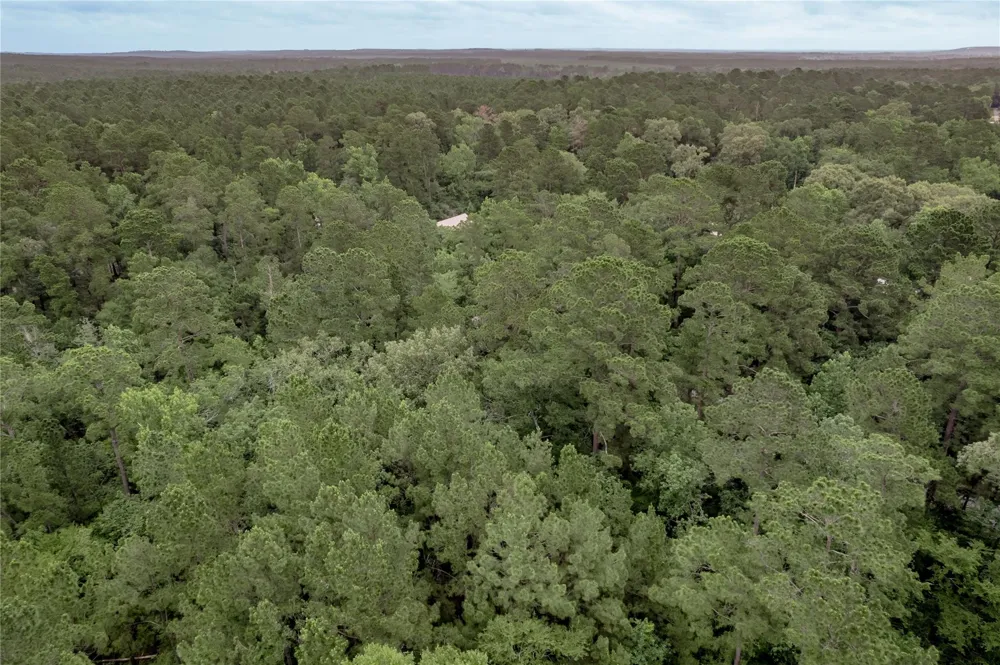 7 Oak Drive Trinity, TX 75862