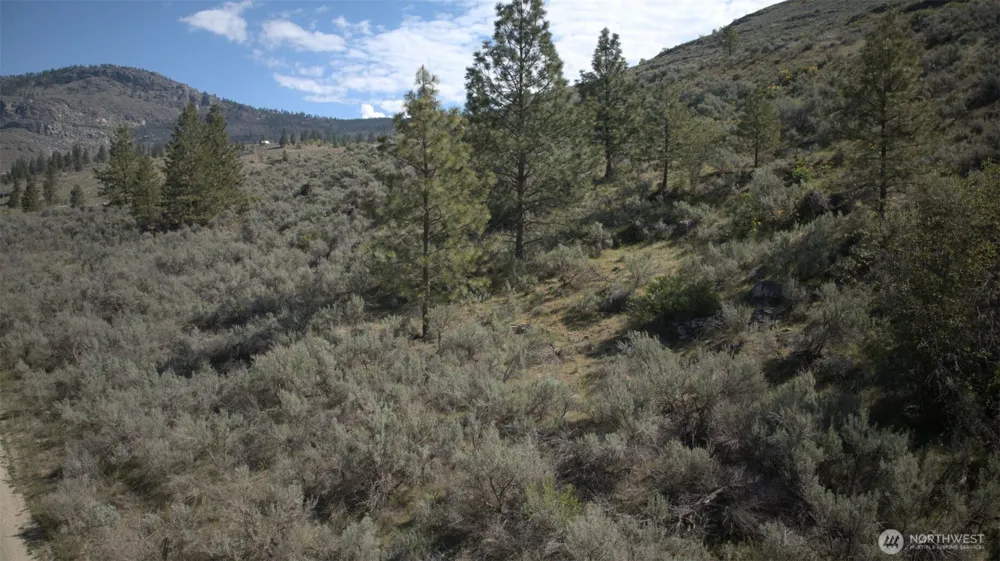 0 Round Up Road #13 Oroville, WA 98844