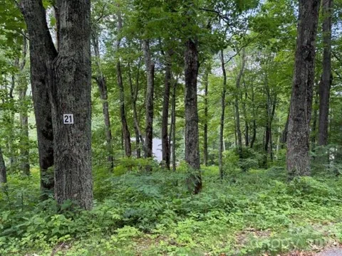 Lot 21 Odalu Trail #21
