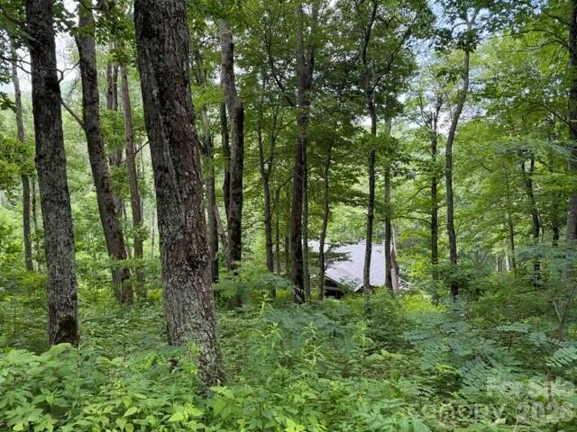 Lot 21 Odalu Trail #21 Maggie Valley, NC 28751
