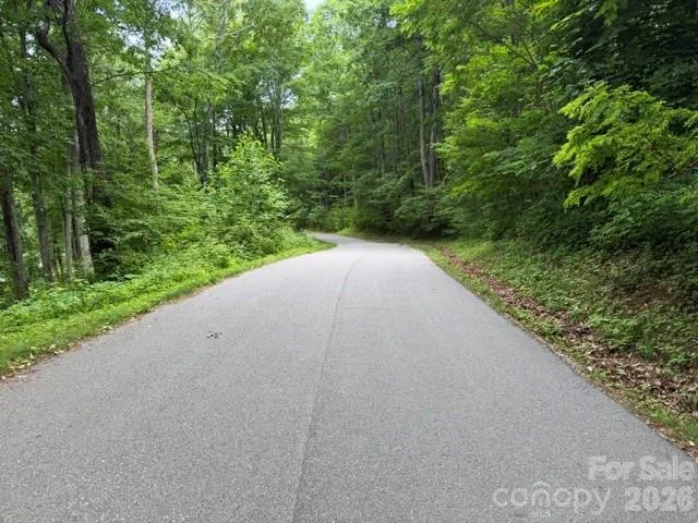 Lot 21 Odalu Trail #21 Maggie Valley, NC 28751