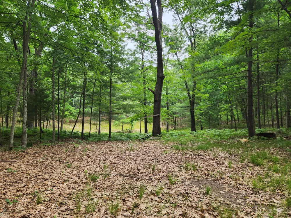 Rebecca Road Baldwin, MI 49304