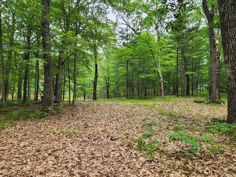 Rebecca Road Baldwin, MI 49304