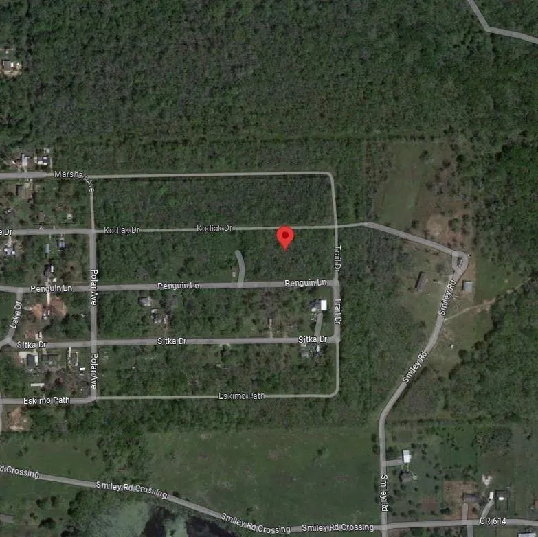 Kodiak Dr Drive Angleton, TX 77515