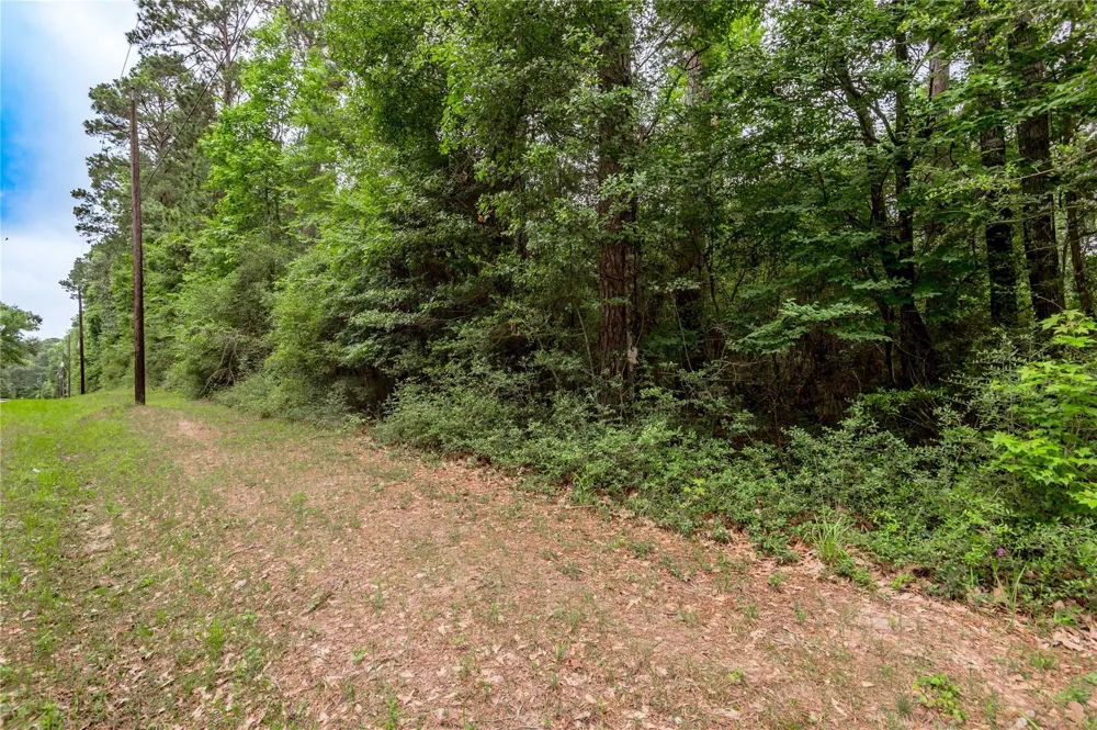 8 Oak Drive Trinity, TX 75862
