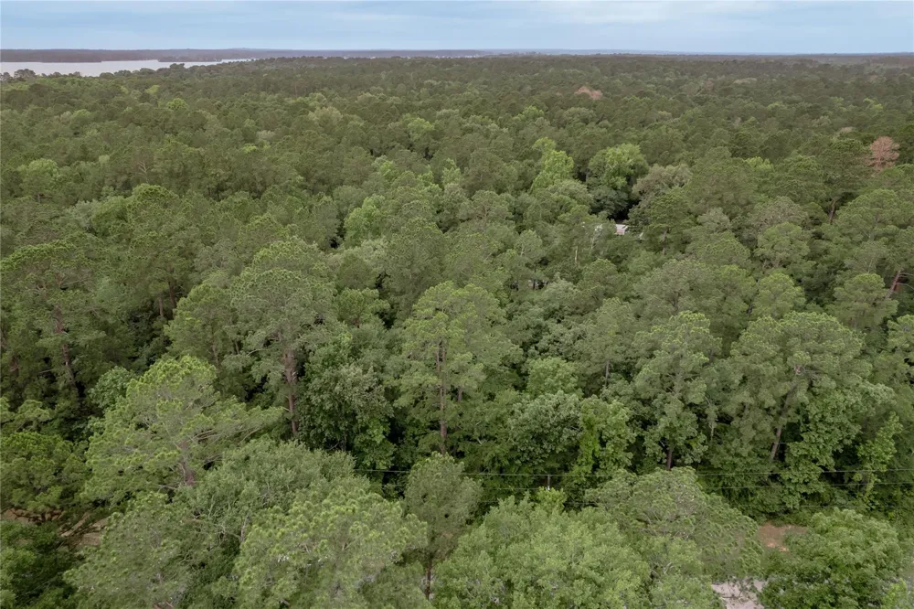 8 Oak Drive Trinity, TX 75862