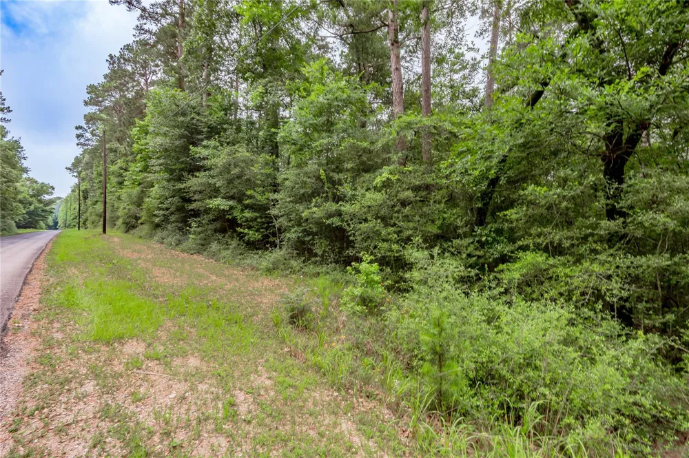 8 Oak Drive Trinity, TX 75862
