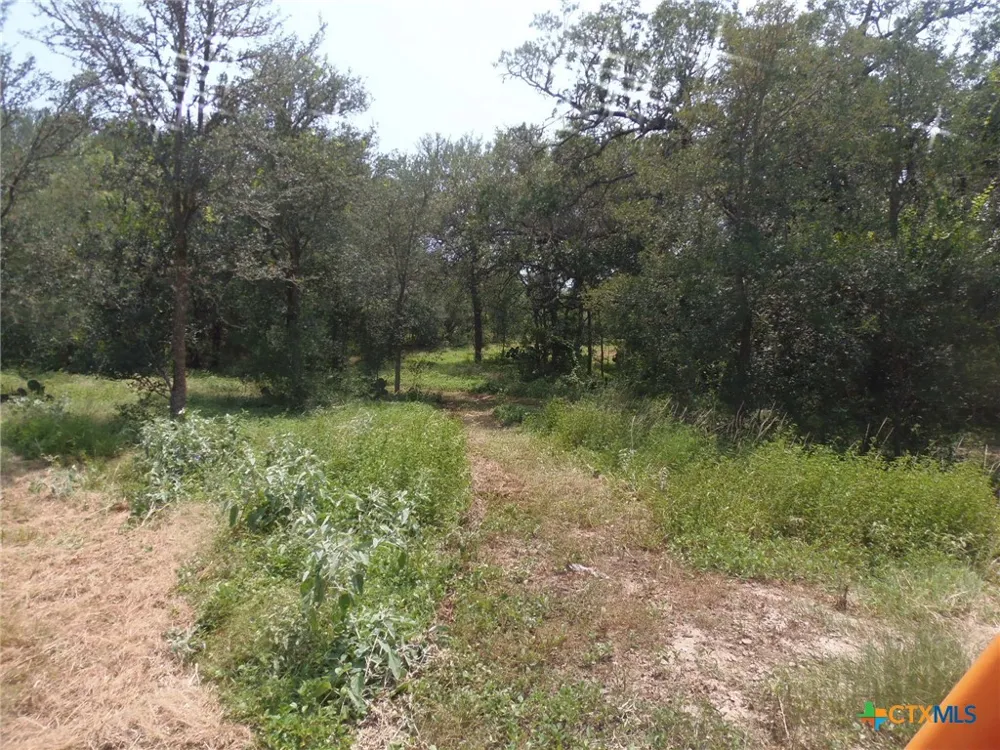 90 Romberg Road Dale, TX 78616