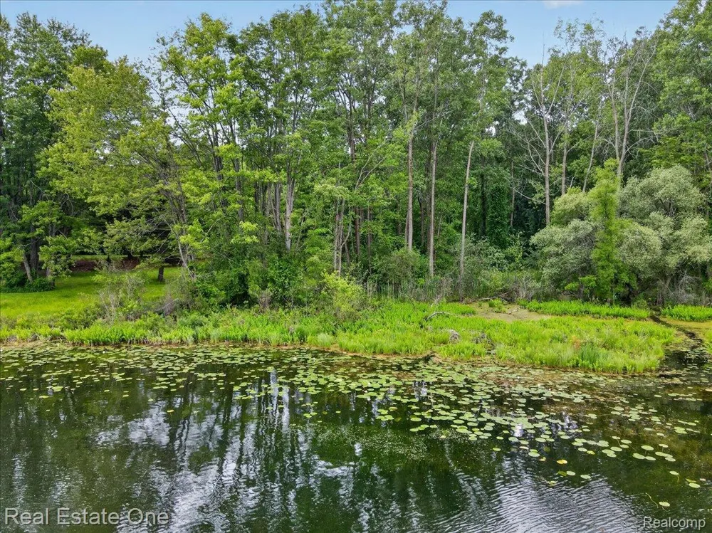425 Courtney Road Addison Township, MI 48367