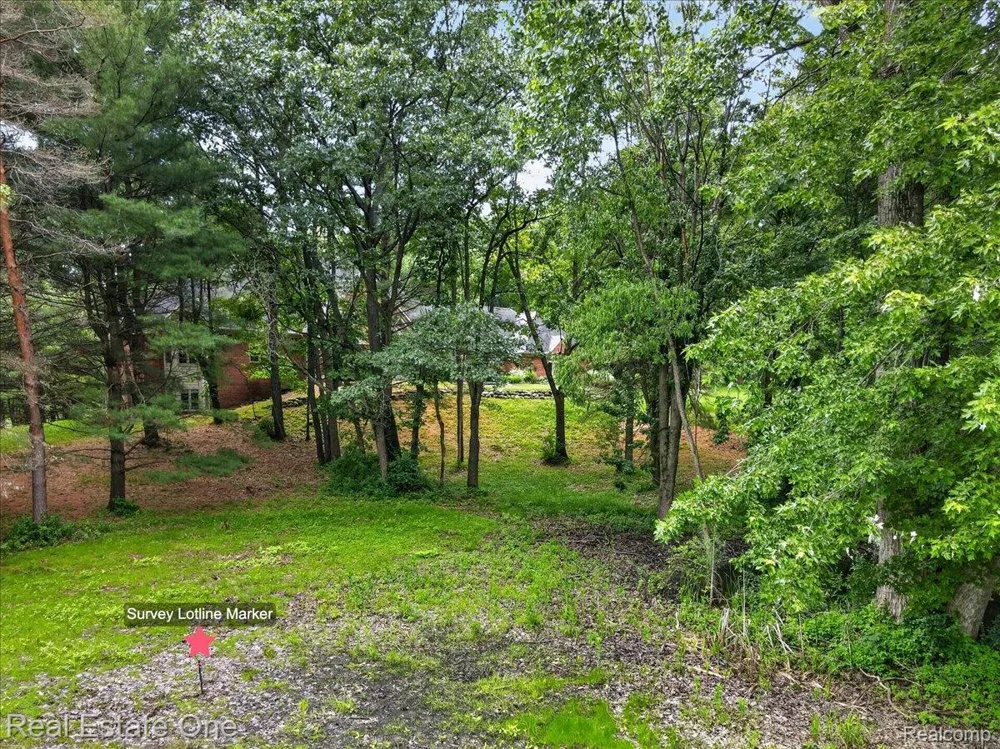 425 Courtney Road Addison Township, MI 48367