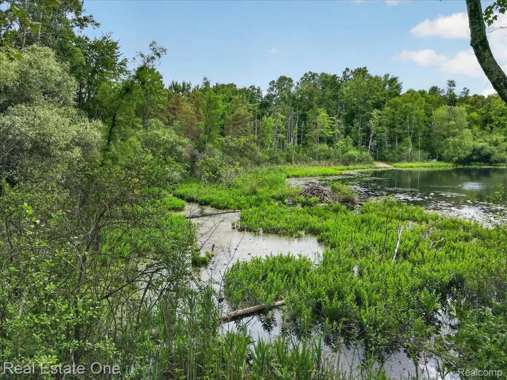 425 Courtney Road Addison Township, MI 48367