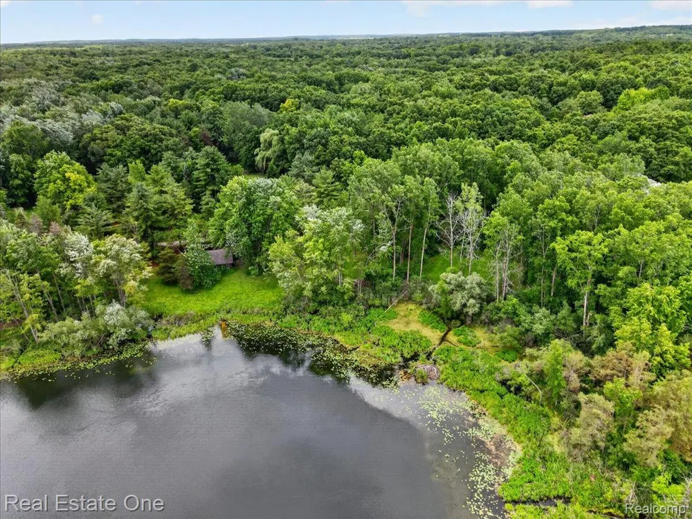 425 Courtney Road Addison Township, MI 48367