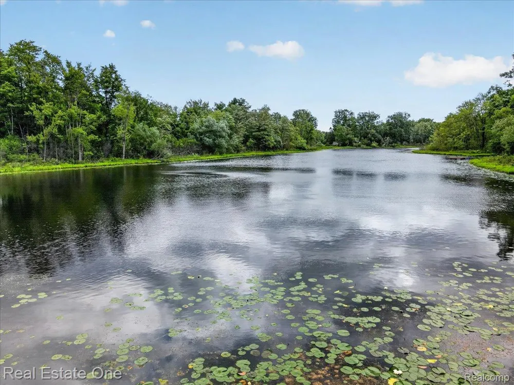 425 Courtney Road Addison Township, MI 48367