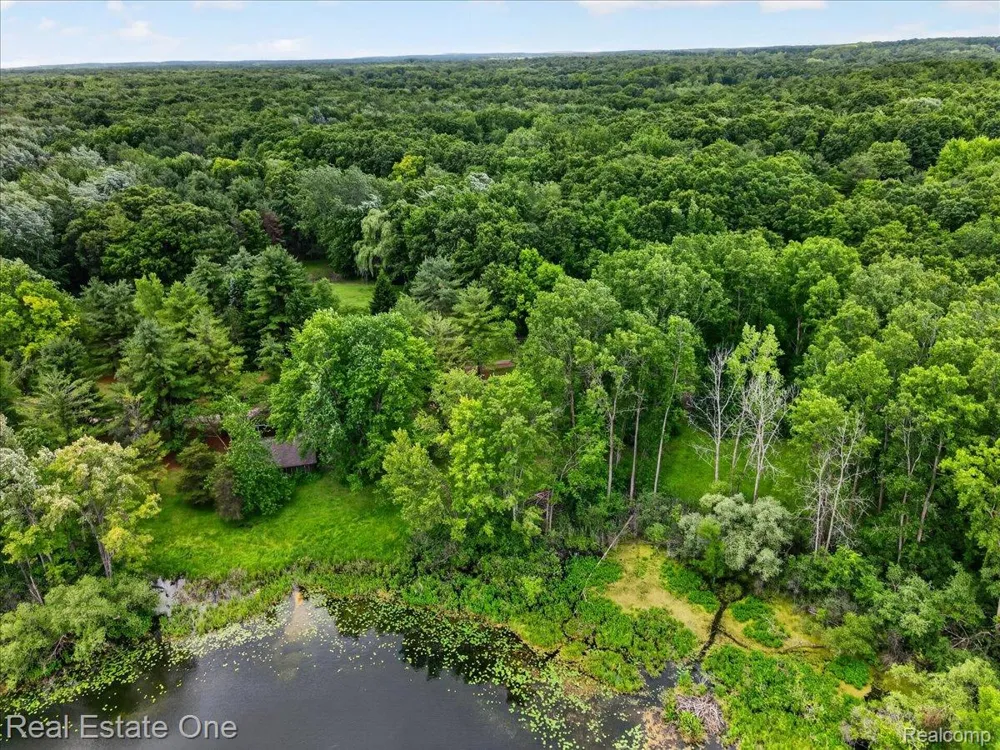 425 Courtney Road Addison Township, MI 48367