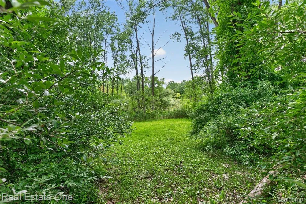 425 Courtney Road Addison Township, MI 48367