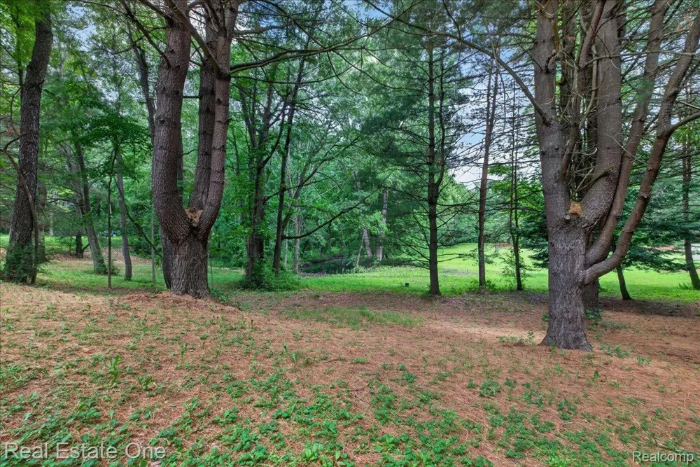 425 Courtney Road Addison Township, MI 48367