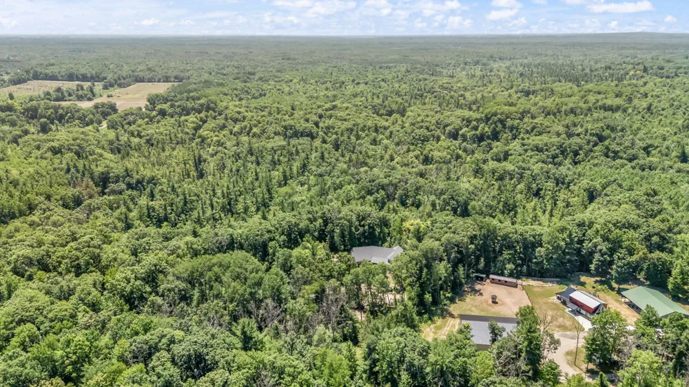 10810 Ingersoll Drive Reynolds Township, MI 49329