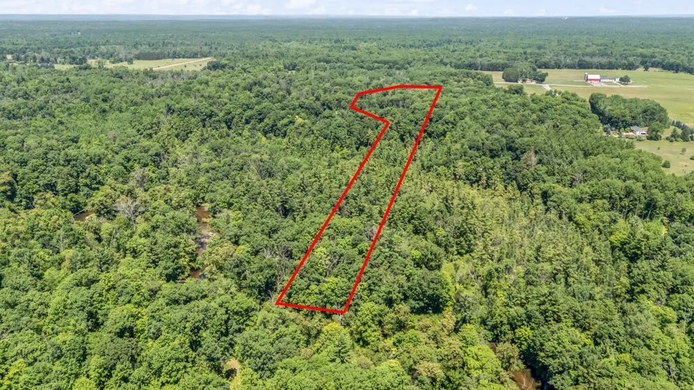 10810 Ingersoll Drive Reynolds Township, MI 49329