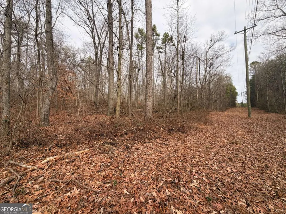 1830 US Highway 27 N Bremen, GA 30110