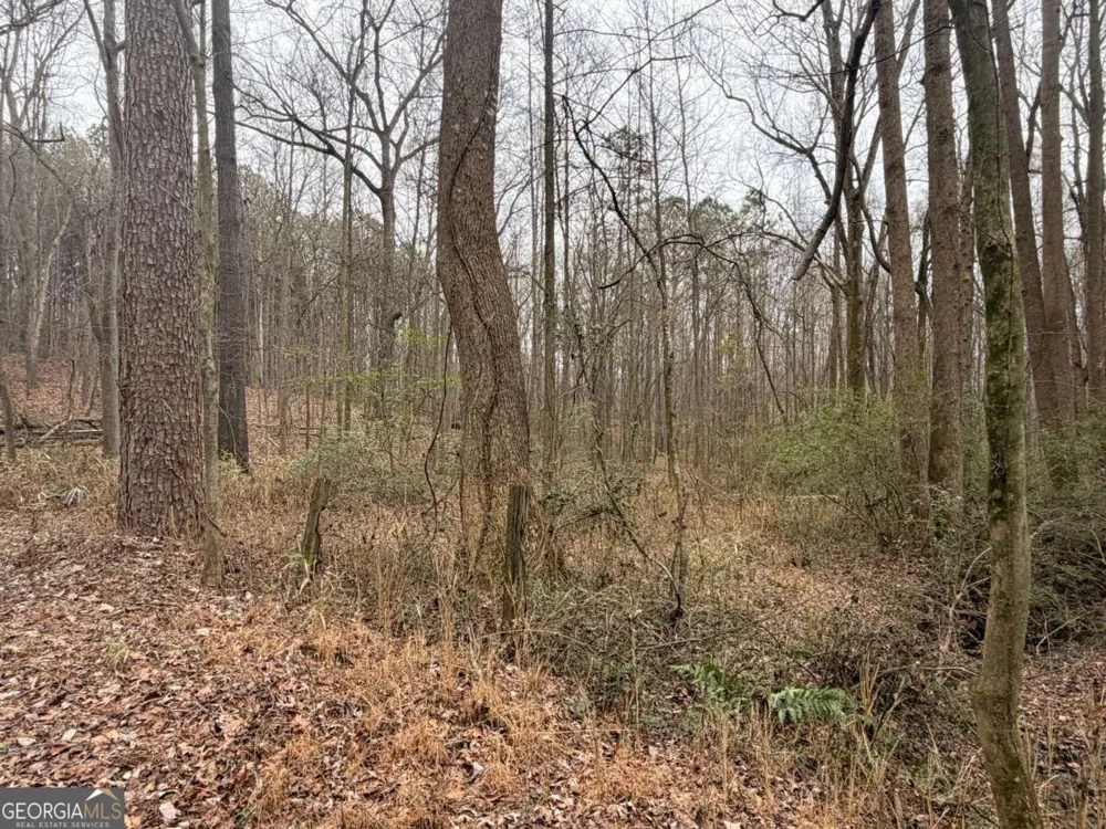 1830 US Highway 27 N Bremen, GA 30110