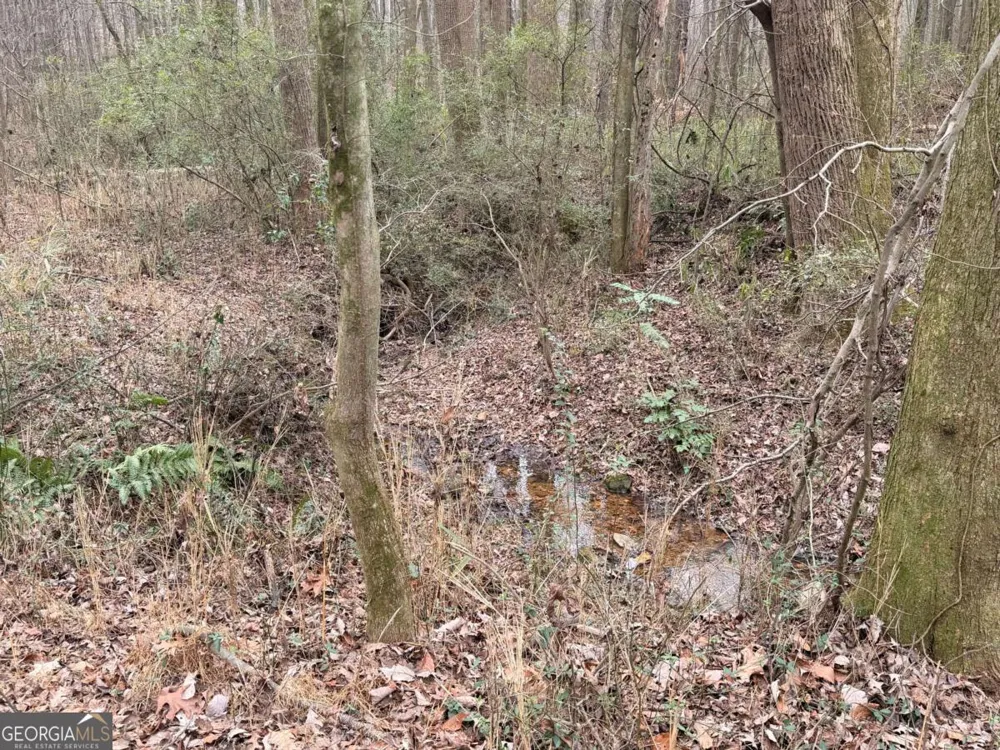 1830 US Highway 27 N Bremen, GA 30110