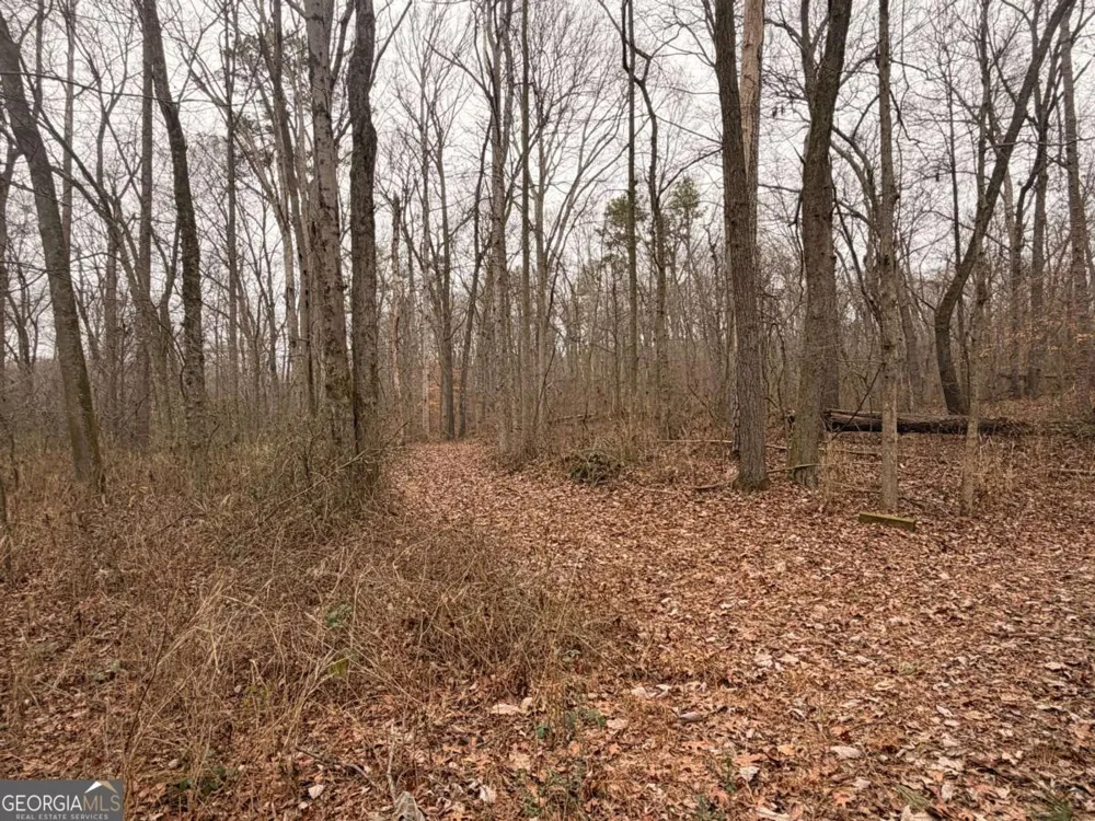 1830 US Highway 27 N Bremen, GA 30110