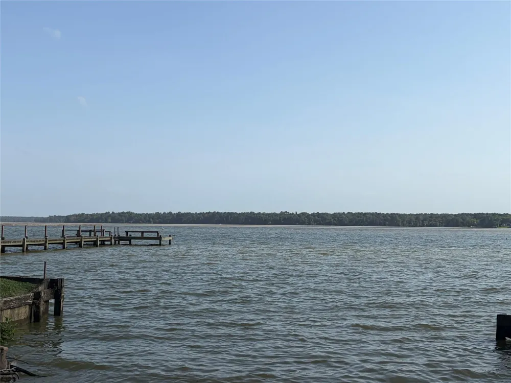 141 Mud Cat Drive Trinity, TX 75862