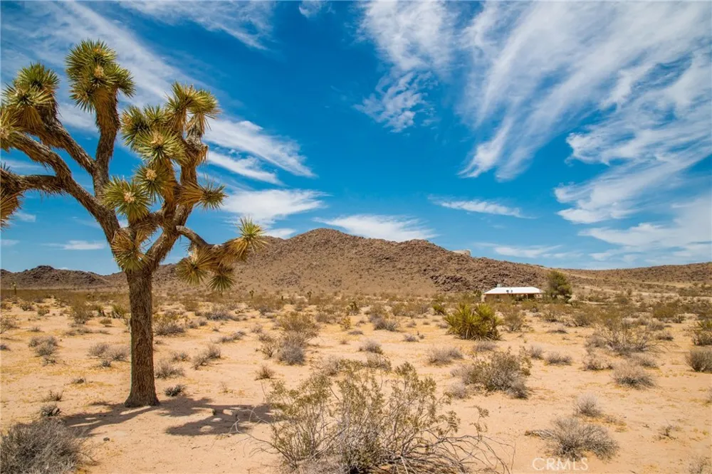 63525 Moonlight Mesa Joshua Tree, CA 92252