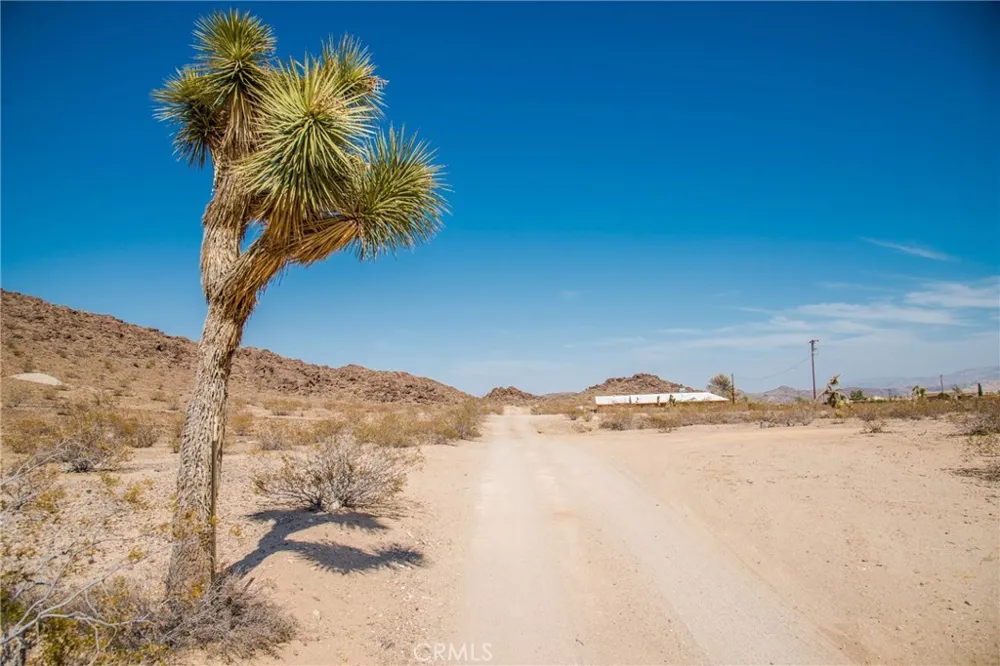 63525 Moonlight Mesa Joshua Tree, CA 92252
